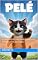 Livro O Gato que Falava Au-Au: As Aventuras de Pelé