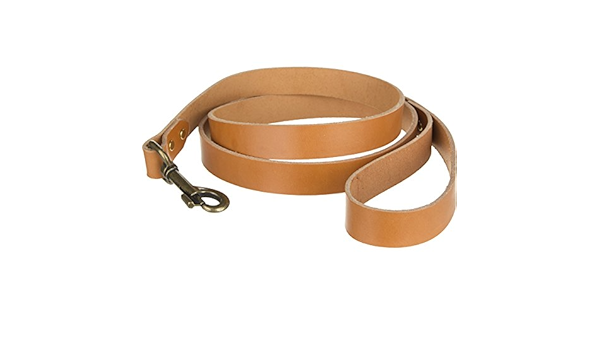 filson dog leash