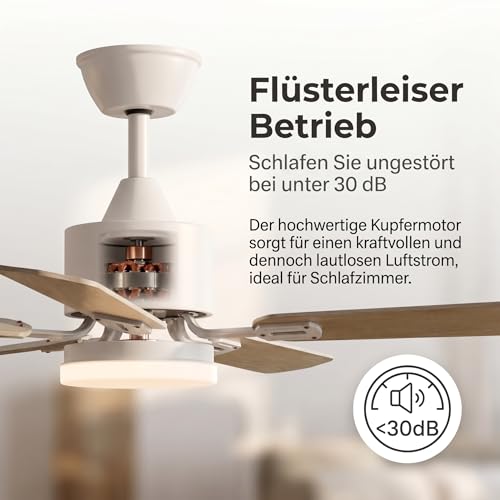 YuYe Ceiling Fan with Lighting, 3 Color Temperatures and 6 Speed, LED Ceiling Fan with Lamp, App Control/Remote Control, Timer (White, 108CM)