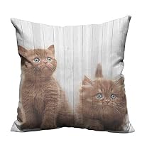 DragonBuildingMaterials Decorative Throw Pillow Case Cute Kittens Baby Cats SweFeline Kids Nursery Child Kitty Theme Artwork Decorative for Kids Adults（Double-Sided Printing） 21.5x21.5 inch