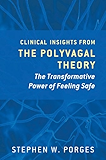The Pocket Guide to the Polyvagal Theory: The Transformative Power of Feeling Safe (Norton Series on Interpersonal Neurobiology)