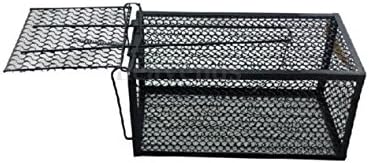 Hot Humane Rat Cage Trap Live Animal Catcher No Poison Pest Control Indoor+Outdoor Black ne Rat Cage Trap Live Animal Catcher No Poison Pest Control Indoor+Outdoor Black
