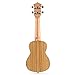 Donner Zebrawood Ukulele Soprano DUS-2 21 inch Ukulele Kit with Case Tuner Strap Nylon String