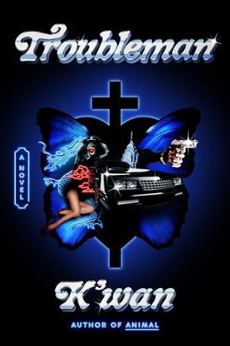 Amazon.com: The Stranger: 9798284535523: Romano, Norma Lyn: Books