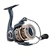 Pflueger 6925 President Spinning Fishing Reel