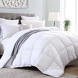 Kingsley trend Queen Comforter Duvet Insert - All
