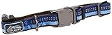 Coastal Pet Products DCP36422SAP K9 Explorer 5/8-Inch Dog Collar, Extra Small, Blue
