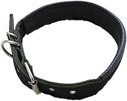 ACCENTORY Pet Collars for Dogs, Neck 12"-16", Small Light Emerald Basic Dog Collar, Matching Leash &amp; Harness Available Separately (M(W0.8in,L19in), ARMY GREEN)