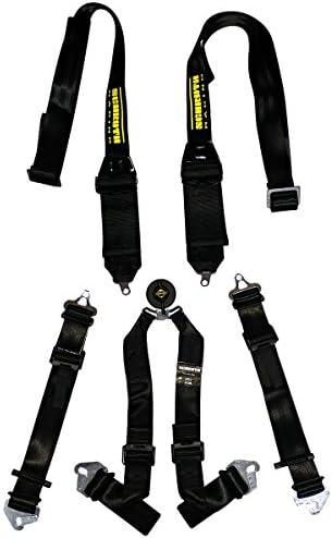 Schroth Racing 6 Point Camlock Racing Harness - Profi 2 for HANS Devices - Snap-In Flexi Lap Harness - Black