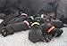 WhelpIDCollars - Puppy ID Bands - 12 Colors | Made from Velcro Brand ONE-WRAP | Standard Size 13.4 in