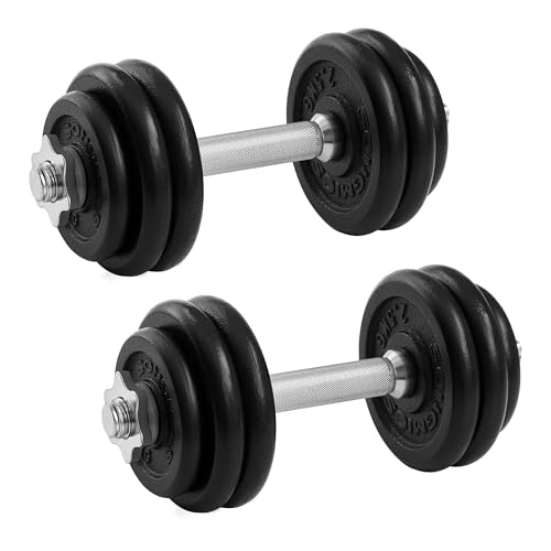 SONGMICS Hanteln, Hantelset aus Gusseisen, Kurzhanteln, 2 x 15 kg, verstellbar, Workout, Fitnesstraining, Gewichtheben für Zuhause, Fitnessstudio, tin