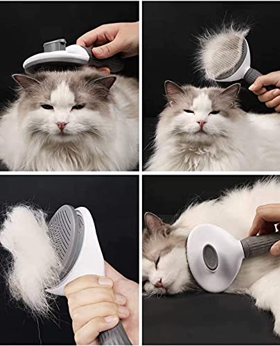 DASHH Glove + Brush for Dogs and Cats, Comb and Self-Cleaning Grooming for Pets, Removing Excess and Dead Animal Hair