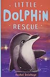 Little Dolphin Rescue (Little Animal Rescue)