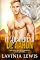 Livro O Despertar de Aaron (Refúgio dos Metamorfos Livro 4)