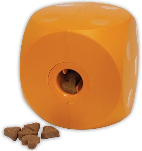 buster cube for dogs