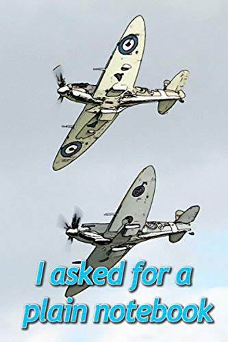 I Asked For A Plain Notebook: Feint ruled notebook, 6" x 9", 120 pages, soft cover journal