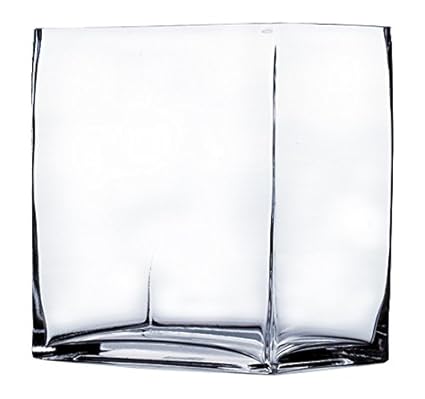 Wgv Clear Rectangle Block Glass Vase 4 By 6 By 6 Inch Amazon Co