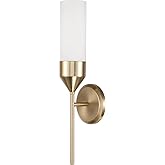 Capital Lighting 652411MA Devon Modern Contemporary Minimalistic Soft White Glass Cylinder Wall Sconce Light, 1-Light 100 Wat