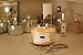 Caitlins Home Scented Candle Aromatherapy White Tea and Ginger 3 Wick Natural Wax with Essential Oils