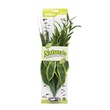 Marina Naturals, Green Dracena Silk Plant, Extra