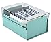 Acrimet 4 x 6 Card File Holder Organizer Box Metal Base Heavy Duty (AZ Index Cards and Divider Included) (Green Color with Clear Crystal Plastic Lid Cover)