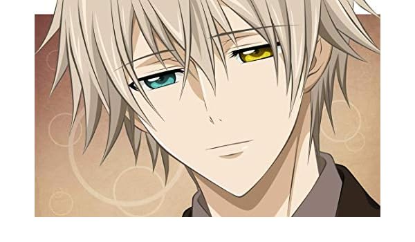 Himesama Goyoujin Anime