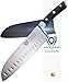 DALSTRONG Santoku Knife - Gladiator Series - German HC Steel - 7" (180mm) primary