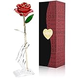 24k Gold Rose, Artificial Flowers Red Rose Flowers Artificial for Decoration, Long Stem with Transparent Stand, Golden Rose for Girlfriend Gifts, Wedding Flowers, Mother Birthday Anniversary Gifts
