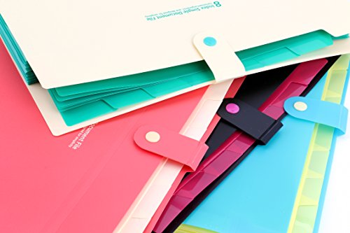 Bekith Document File Folder Poly Expanding A4 and Letter Size File Organizer, 8 Pockets, 4 Pack