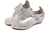 CRC Women's Stylish Roman style Sparkle Rhinestone Comfortable Synthetic Wedges heel Flip-flop Sandals