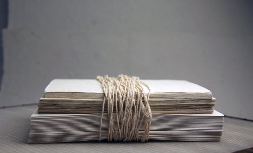 Seed Embedded Recycled Lotka Invitation Paper DIY Kit of 25 Natural Rustic