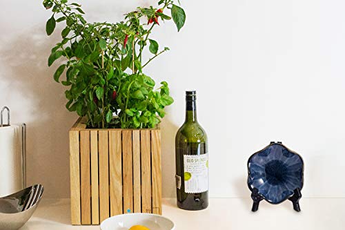 image for Comgrow 10 Pack 4.3 Inch Upgraded Anti-Slip Acrylic Plate Display Stan