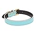 Aolove Basic Classic Padded Leather Pet Collars for Cats Puppy Small Medium Dogs (Blue, X-Small)