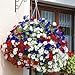 Surfinia Patriotic Hanging Mix 150 Petunia Seeds Upc 643451296075