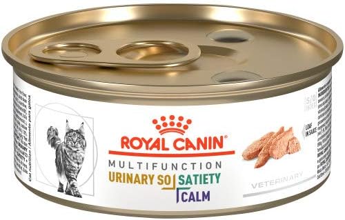 hills satiety cat food