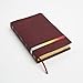 NIV Rainbow Study Bible, Maroon LeatherTouch, Indexed