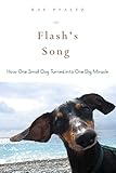 Flash's Song: How One Small Dog Turned into One Big Miracle by Kay Pfaltz