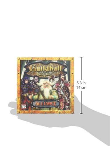 Guildhall Fantasy Alliance Board Game