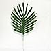 Owncons Package of 25 Silk Palm Leaves