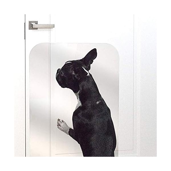 heavy duty dog door