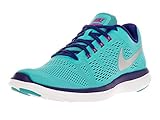 Nike Women's Flex 2016 Rn Running Shoe
