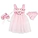 Pink Butterfly Closet Ballet Ballerina Dance Dress for 14 inch Dolls Fits American Girl Wellie Wishers Dolls