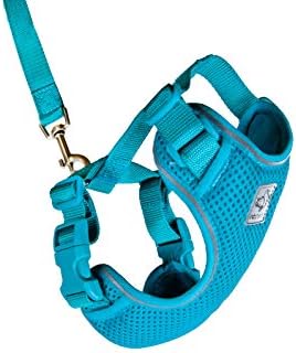 RC Pet Products Primary Collection Adventure Kitty Harness