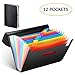 Fanyuanfds File Folder Organizer/12 Pockets Hot Pressing Forming Document Organizer with Cloth Edge Wrap and File Guides, Multi-Color Accordion A4 Size with Expanding Wallet Stand for Business/Office