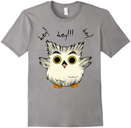Men's Bokuto Owl T-Shirt Large Slate