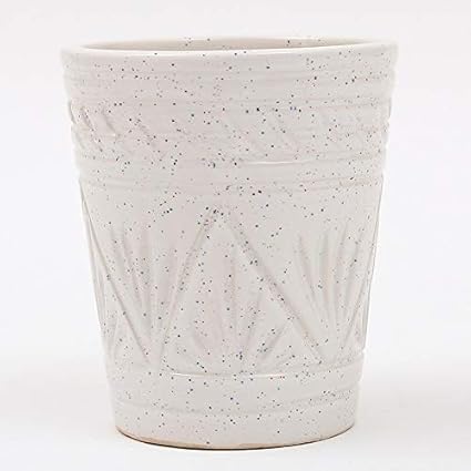 Ferns N Petals White Ceramic Planter 5.5 x 5 Inch