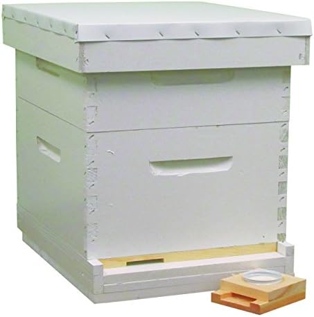Beeline Apiaries Painted & Assembled Hive Kit - 10 Frames