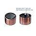 EcoCity 12-Pack Solar Lights Outdoor Garden Light Landscape / Pathway Lights Stainless Steel (Copper)