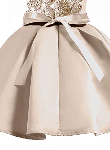 AYOMIS Flower Girl Pageant Dress Kids Party Embroidery Wedding Dresses 2-9 Years(Apricot,8-9Y) - Thumbnail 4