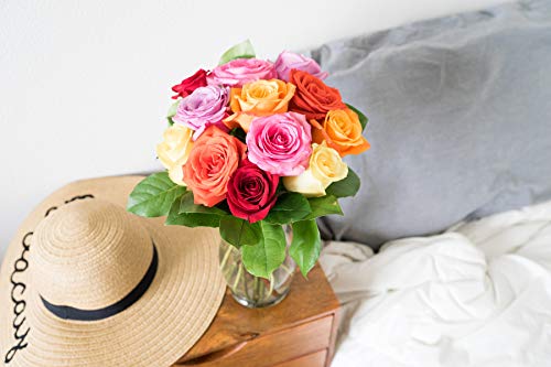 5 Flowers+One+Dozen+Rainbow+Roses